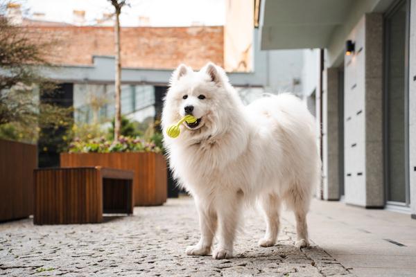 Family Hub Nusle s.r.o.