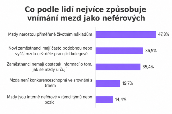 Co podle lidí nejvíce způsobuje vnímání mezd jako neférových